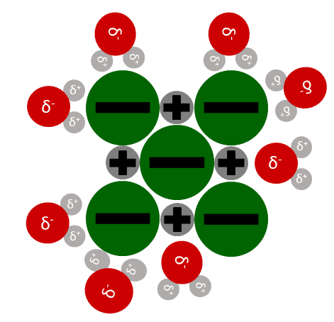 Lösungsvorgang von Salzen in Wasser