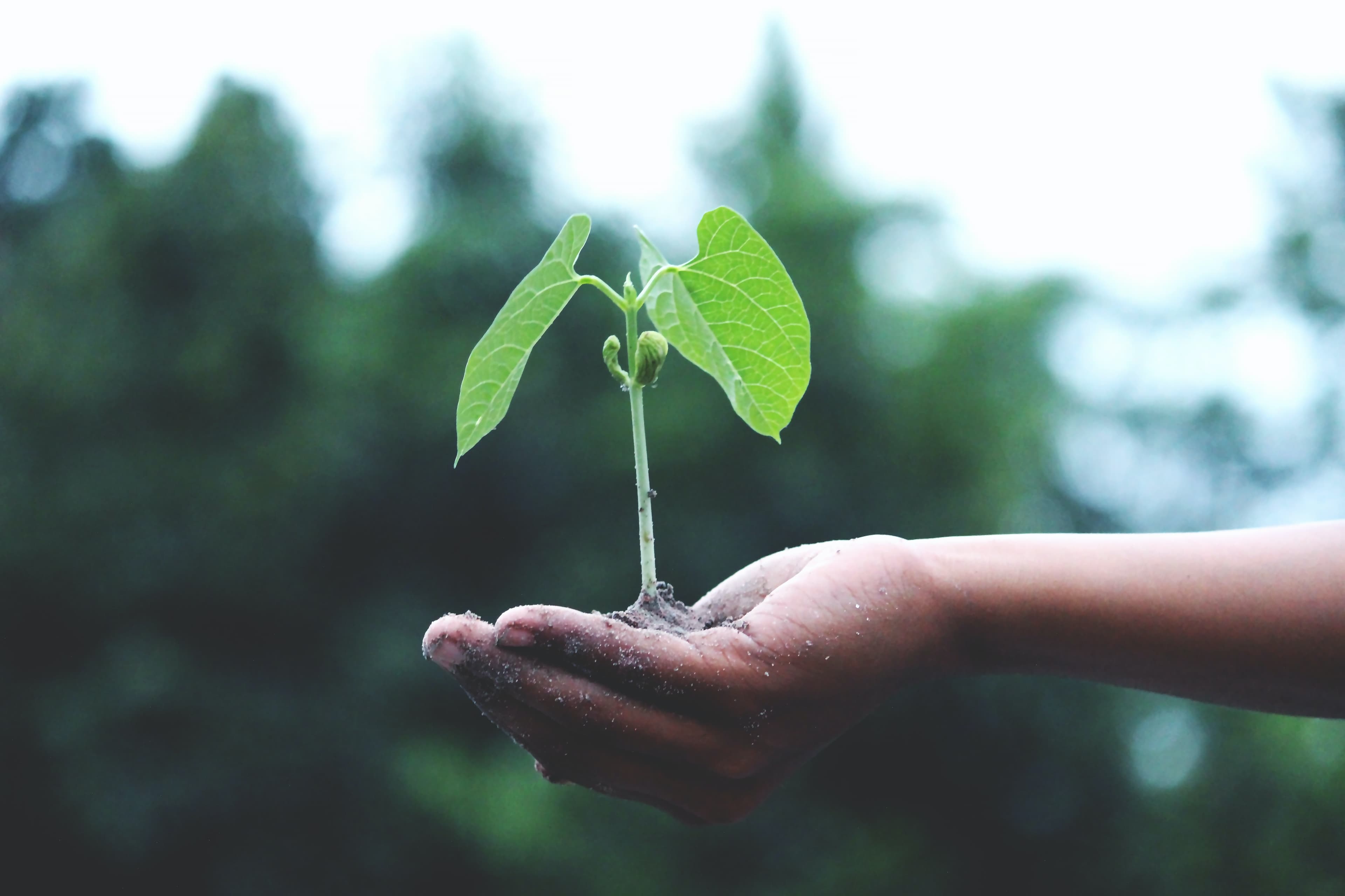 Challenge Klimafreundlich leben