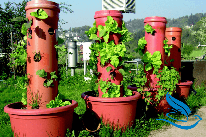 Salatturm zum selbst bauen