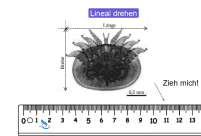 Vorschaubild GeoGebra